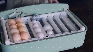 Инкубатор HHD 32 автоматический для яиц с роликовым лотком