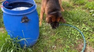 Как работает скважина спустя год после бурения? Смотрите отзыв о компании "Мосводострой"