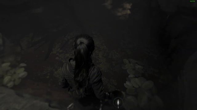 Rise of the Tomb Raider GAMEPLAY Part 29B - Procurando Tumbas de desafio @1440p - 120hz Bear fight! смотреть онлайн