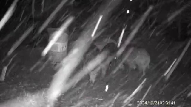 Мои друзья со мной! смотреть онлайн