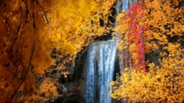 Осенний футаж. Водопад в осеннем лесу смотреть онлайн