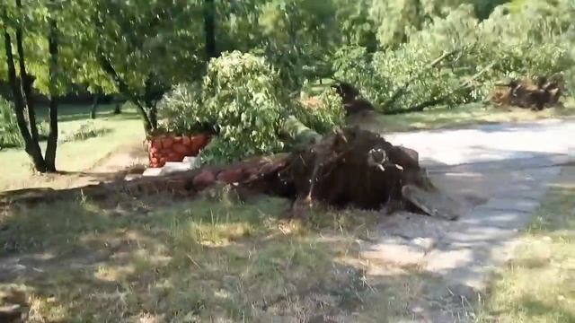 Последствия бури в Минске 13.07.2016 смотреть онлайн