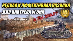 Редкая и эффективная позиция для настрела урона! (Tanks Blitz | Танки Блиц)