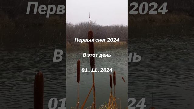 Первый снег 2024 . Красота природы . #природа #красотаприроды #снег #первыйснег #первыйснег2024 #вэт смотреть онлайн
