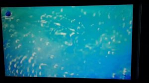 Летняя заставка КИНО ТВ