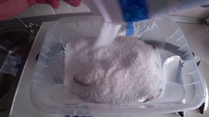 ЛУЧШИЙ СПОСОБ ПОСОЛА РЫБЫ!СУХОЙ ПОСОЛ РИПУСА. Самая вкусная вяленая рыба