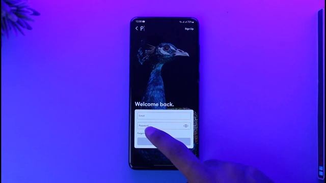Recover Peacock TV Account - Reset Peacock Password ! смотреть онлайн