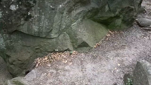 Воронцовский дворец 2022 смотреть онлайн