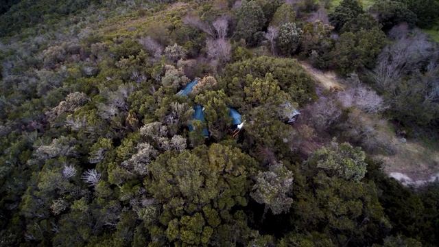 Teniqua Treetops | eco-friendly South African forest retreat смотреть онлайн