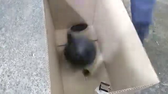 Примеры наших работ. Телемастерская "николаич" смотреть онлайн