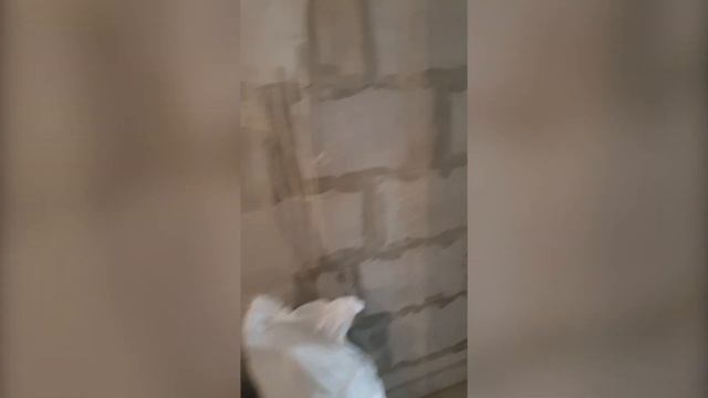 Звукоизоляция Броня всех квартир нового жилищного комплекса г. Благовещенск (фото, видео) смотреть онлайн