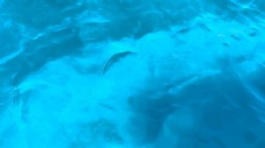 Универсальная фраза Эмиля Куэ.