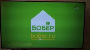 Рекламная заставка на телеканале Бобёр (30.11.2022-н.в.)