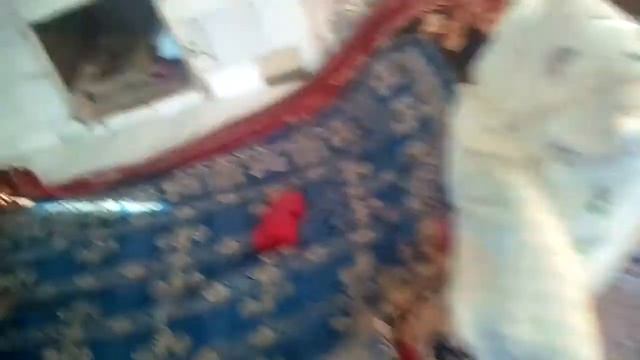 Вова ТВ показывает селфи-палку смотреть онлайн