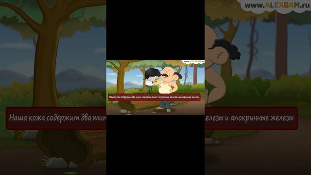 Что вызывает запах пота? смотреть онлайн