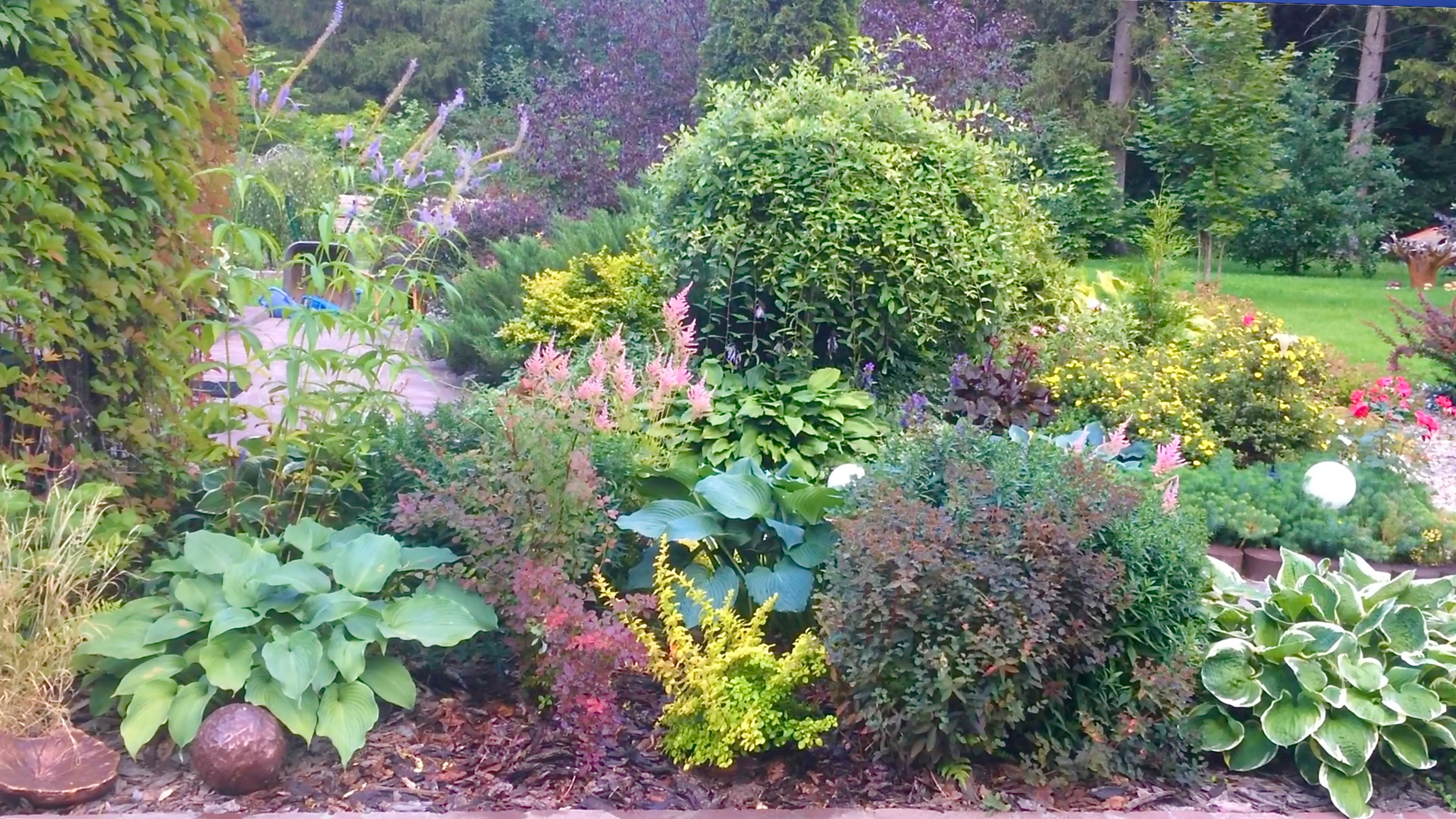ОТРЯД НЕ ЗАМЕТИЛ ЗАМЕНЫ "БОЙЦА" ПЕРЕСАДКА БУЗИНЫ И БАРБАРИСА. Видео из архива 2020г. смотреть онлайн