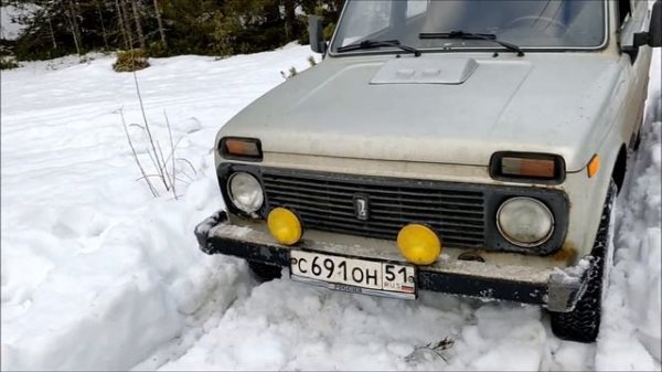 Стоковая Нива по мокрому снегу