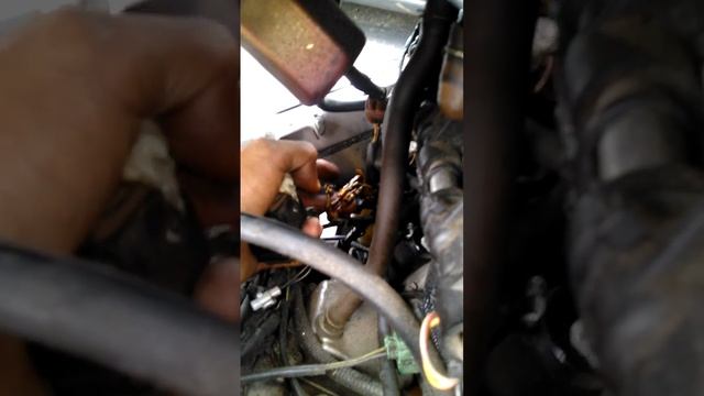 Gsxr 750 electrical drama PLEASE HELP смотреть онлайн