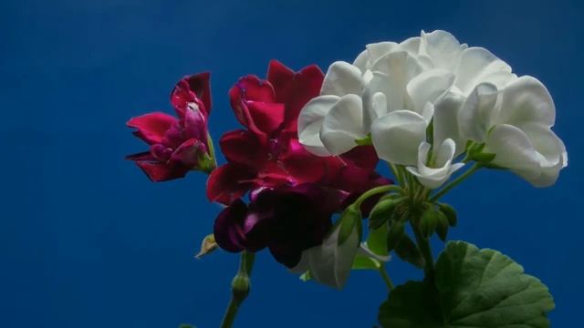 Как наказать спамера? Раздаем штрафы 100к+ спамерам налево и направо смотреть онлайн