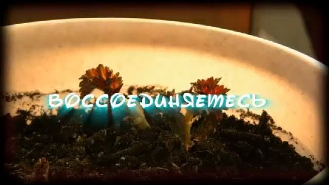 Тренинг "Свидание с судьбой" смотреть онлайн