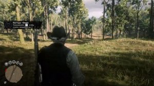 RDR 2 Фиолетовый подснежник, Американский женьшень, Тоник для лошади RDO