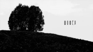 БРАНИМИР - Шофёр