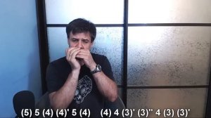 Мурка на губной гармошке