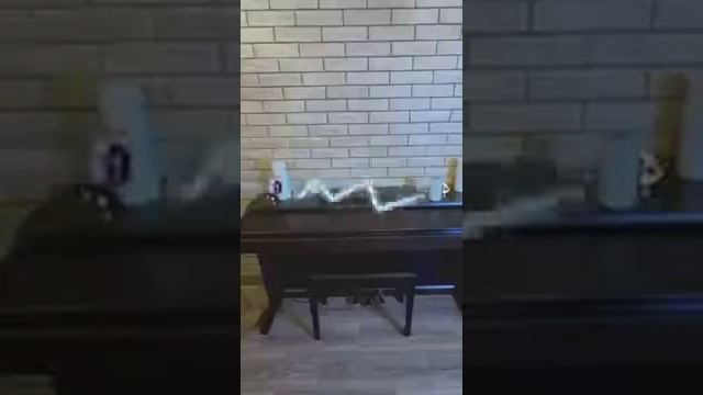 Мурсдей встретила Мурсдей?!👻 | ЗАДОМ НАПЕРЁД ВЫПУСК 249 | #симба | #симбочка | #мурсдей | #наоборот смотреть онлайн