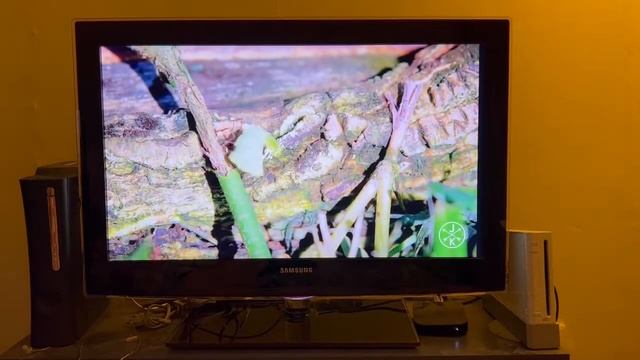 Samsung UE-32B6000VW