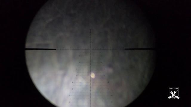 CAZA DE LIBRE CON SLUG TCF Y RIFLE FX IMPACT смотреть онлайн