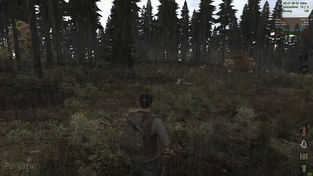 Arma 2 DayZ Mod Már megint meg birizgáltak az AI-k смотреть онлайн