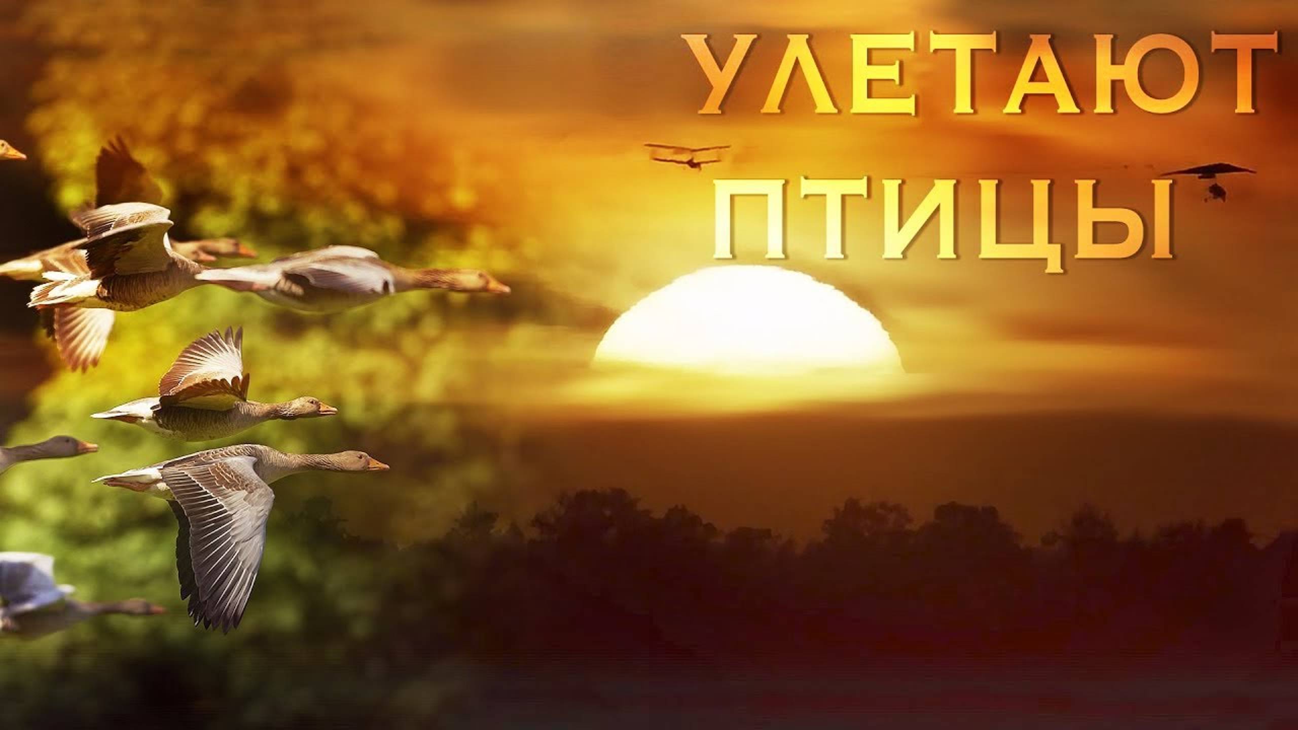 Улетают птицы - детская песня - клип - Наталия Лансере / children's song - birds fly away смотреть онлайн