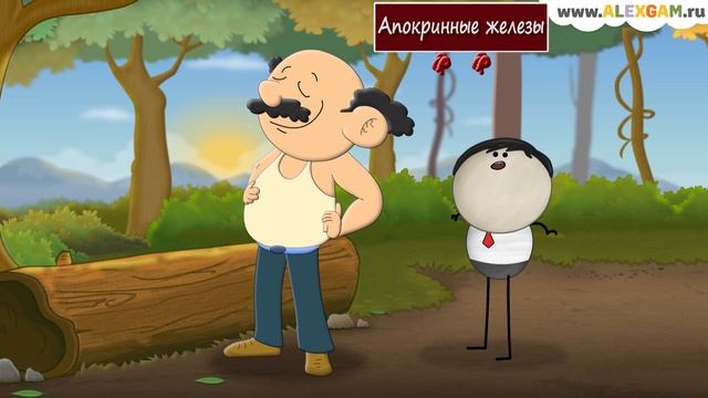 Что вызывает запах пота? смотреть онлайн