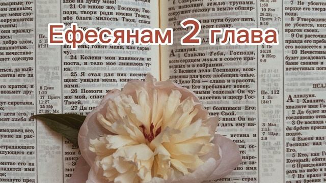 Читаем писание. Ефесянам 2 глава смотреть онлайн