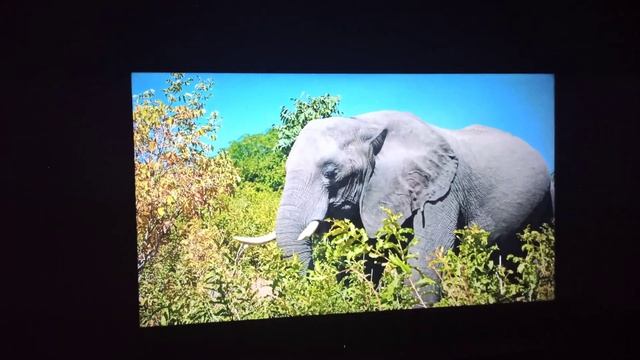 LG 49 UK6200 PLA