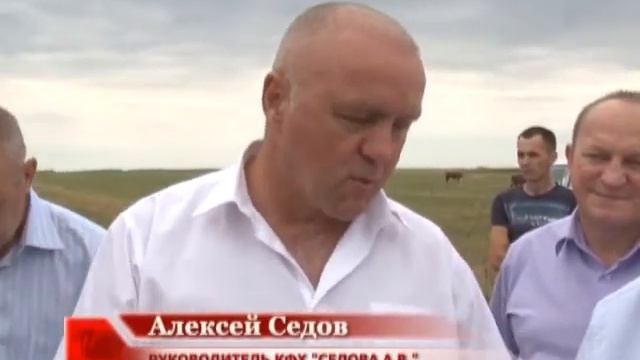 В области собрали первый миллион тонн зерна смотреть онлайн