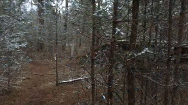 Mangaļsala Мангальсала- Вецаки - Vecāķi Заброшенные железная дорога 1 смотреть онлайн