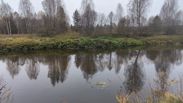 Река Уводь. ч.5. Октябрь 2024 смотреть онлайн