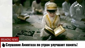 👆🏻Слушание Аминтаза по утрам улучшает память!Listening to Amintaza in the morning improves memory