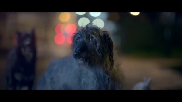 Blue Cross I Will Survive 70' TV advert 2015 смотреть онлайн