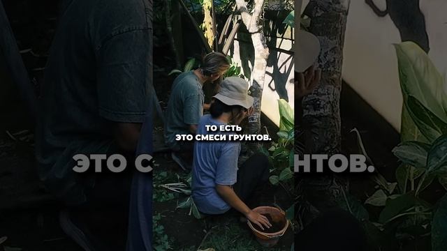 Проектирование вилл и отелей на Бали! Девелоперы смотреть онлайн