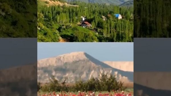 Дилнура Кодиржонова бетакрор овоз сохибаси.Эшитинг, бехосдан кузингизга ёш келади.