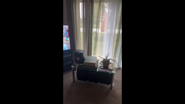 Review Amazon Fire TV 43" 4-Series 4K UHD Smart TV смотреть онлайн