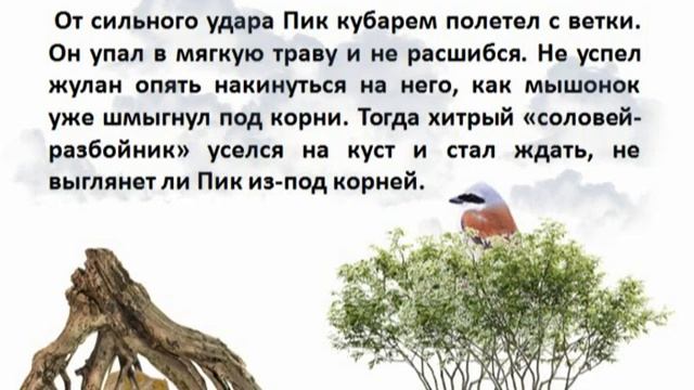 В. Бианки "Мышонок Пик". Глава 5. "Соловей - разбойник" смотреть онлайн