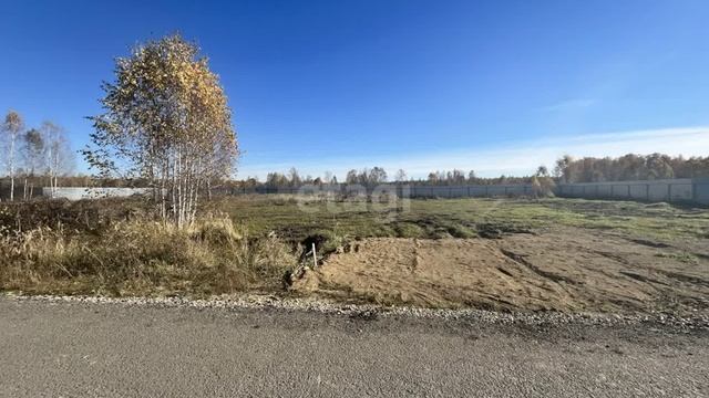 11536820 смотреть онлайн