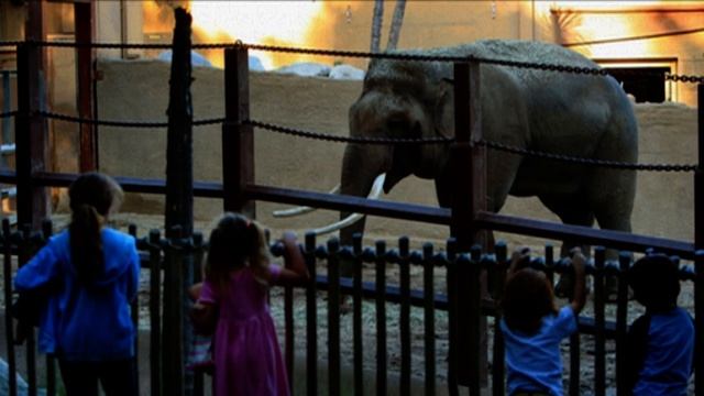 Саша Чёрный. Стихотворение "Слон". смотреть онлайн