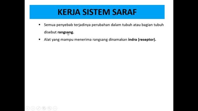 saraf tepi dan Kerja saraf XI IPA 1 смотреть онлайн