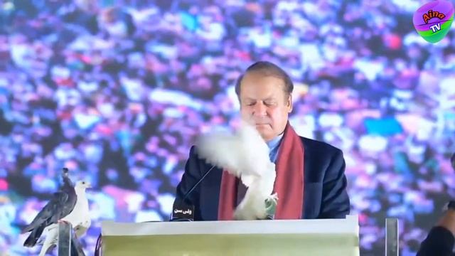 Most Funny Pakistani Politicians part 55 | Pdm 2.0 |Aina Tv смотреть онлайн