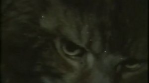 Sea of Faith 2 - Don Cupitt - Documentary : (Freud, Jung, Darwin, William Smith)