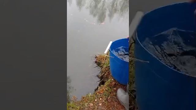 запуск смотреть онлайн